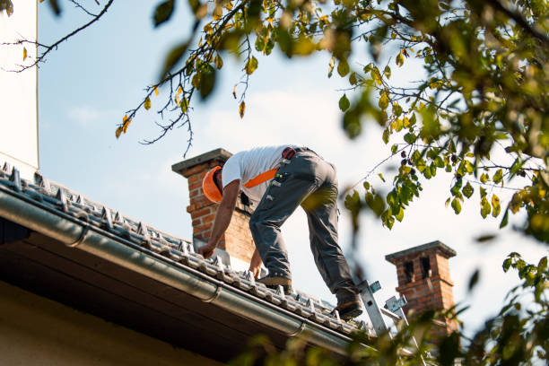 Best Residential Roofing Contractor  in Meadow Les, AK