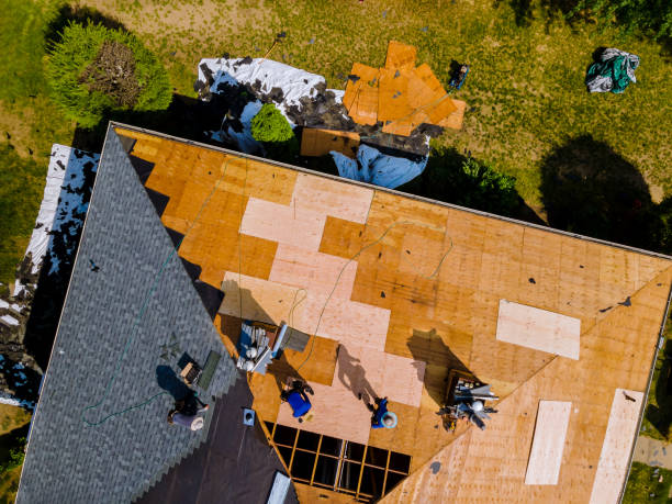 Best Roof Leak Repair  in Meadow Les, AK