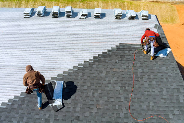 Best Metal Roofing Contractor  in Meadow Les, AK