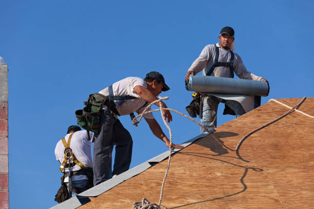 Gutter Installation and Roofing in Meadow Lakes, AK