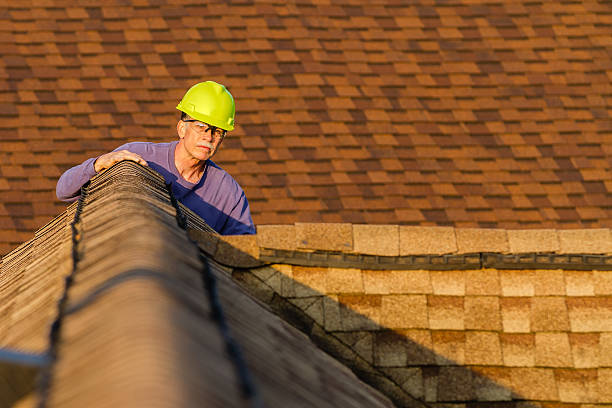 Best Roof Restoration Services  in Meadow Les, AK