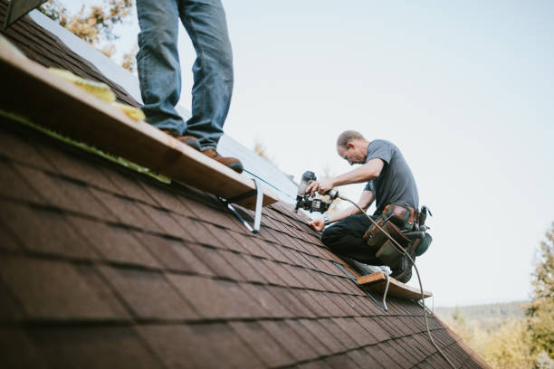 Best Roof Gutter Cleaning  in Meadow Les, AK